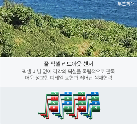 풀 픽셀 리드아웃 센서 샘플 이미지