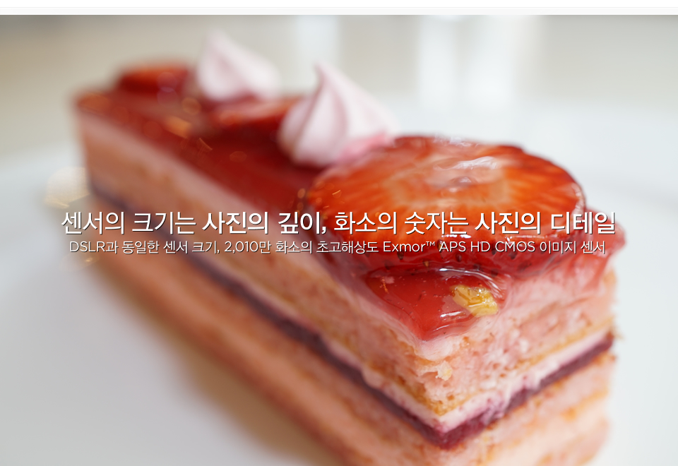 센서의 크기는 사진의 깊이, 화소의 숫자는 사진의 디테일 / DSLR과 동일한 센서 크기, 2,010만 화소의 초고해상도 Exmor™ APS HD CMOS 이미지 센서 