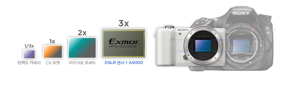 DSLR 카메라와 동일한 크기의 센서를 탑재한 A5000, 고급 컴팩트 카메라 센서의 약 3배 크기 센서! 