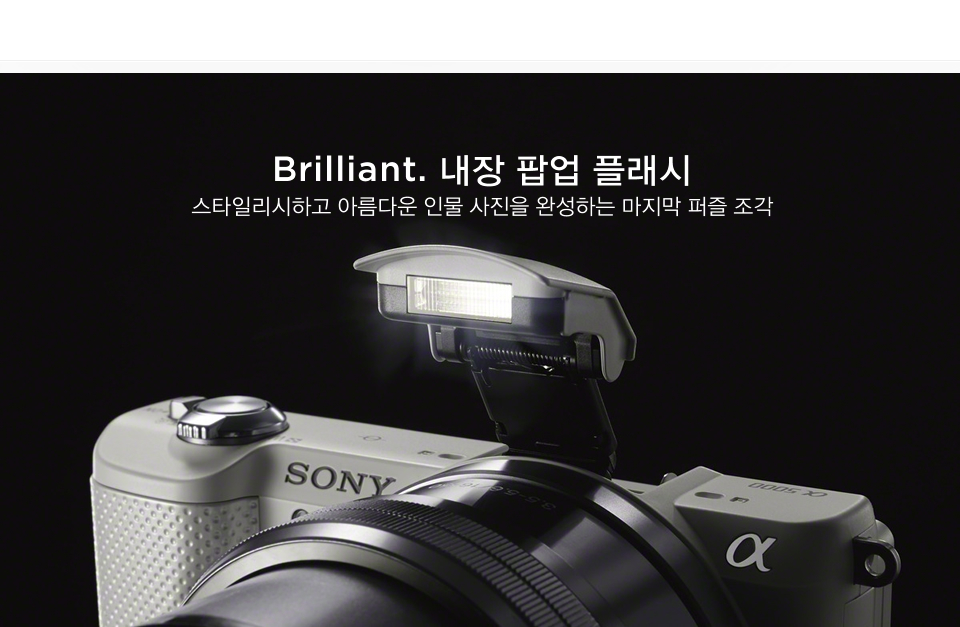 Brilliant. 내장 팝업 플래시 / 스타일리시하고 아름다운 인물 사진을 완성하는 마지막 퍼즐 조각 