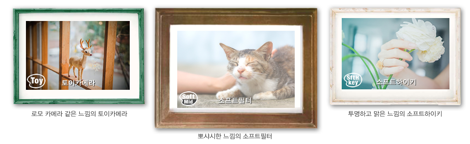 로모 카메라 같은 느낌의 토이카메라/ 뽀샤시한 느낌의 소프트필터/ 투명하고 맑은 느낌의 소프트하이키 