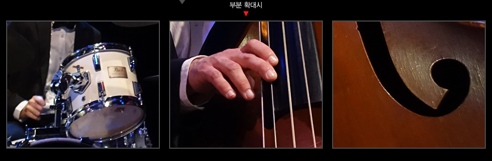 부분 확대 이미지