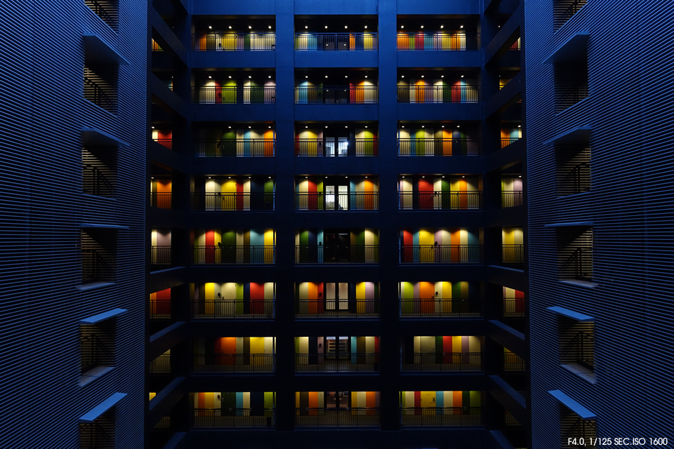 샘플 이미지 F4.0, 1/125 SEC.ISO 1600