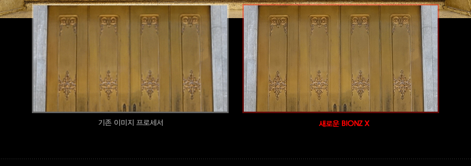 기존 이미지 프로세서와 새로운 BIONZ X 이미지 프로세서 부분 확대 비교