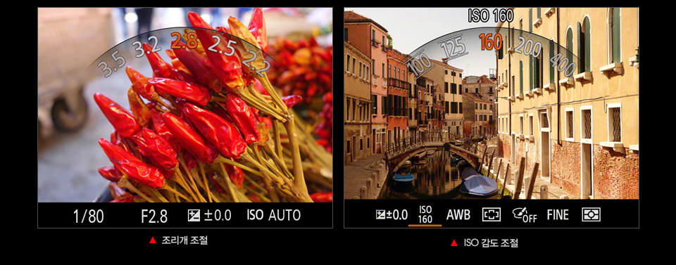 조리개 조절/ ISO 감도 조절