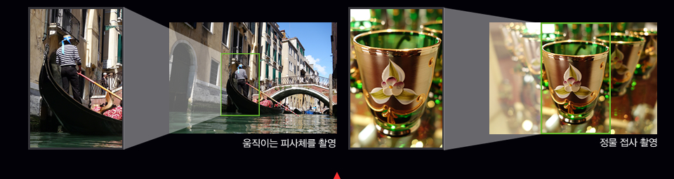 움직이는 피사체를 촬영, 정물 접사 촬영