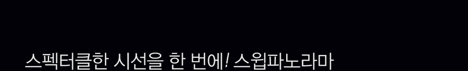 스펙터클한 시선을 한 번에! 스윕파노라마 