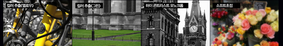 컬러 추출(옐로우), 컬러 추출(그린), 하이 콘트라스트 모노크롬, 소프트초점