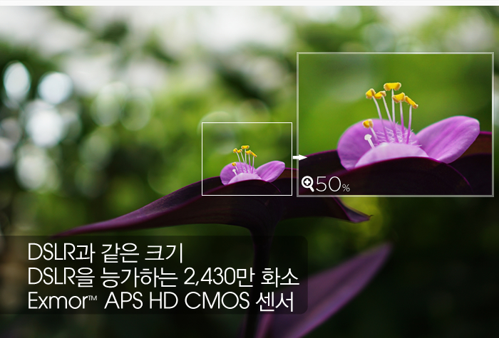 DSLR과 같은 크기 DSLR을 능가하는 2,430만 화소 Exmor™ APS HD CMOS 센서