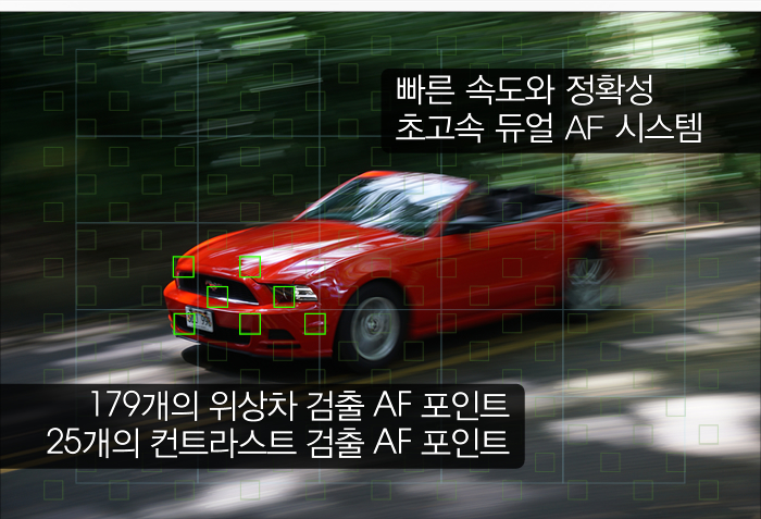 빠른 속도와 정확성 초고속 듀얼 AF 시스템/179개의 위상차 검출 AF 포인트, 25개의 컨트라스트 검출 AF 포인트 
