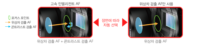 위상차 검출 AF + 콘트라스트 검출 AF와 위상차 검출 AF를 장면에 따라 자동 선택