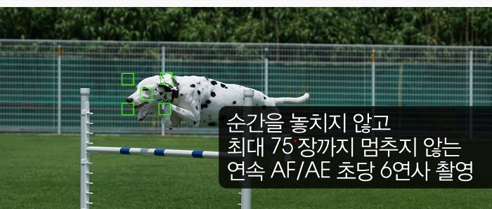 순간을 놓치지 않고 최대 75*장까지 멈추지 않는 연속 AF/AE 초당 6연사 촬영