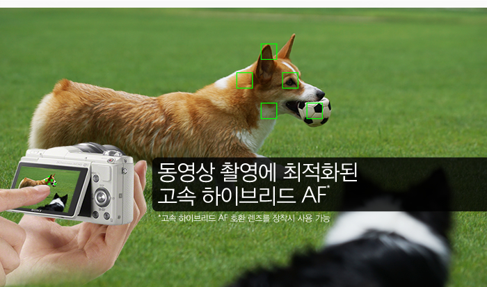 동영상 촬영에 최적화된 고속 하이브리드 AF(*고속 하이브리드 AF 호환 렌즈를 장착시 사용 가능)