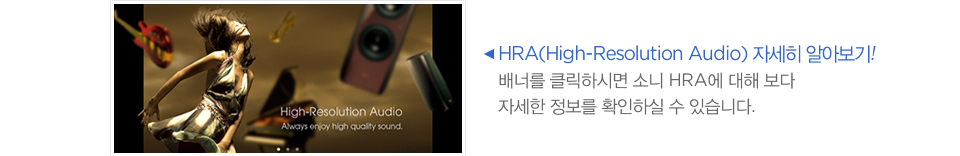 HRA(High-Resolution Audio) 자세히 알아보기! 바로가기 버튼