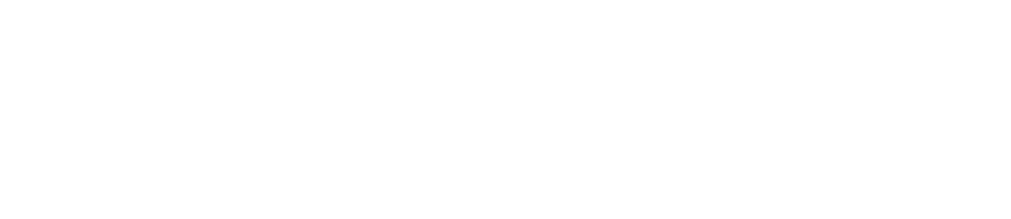 1000X THE COLLECTION