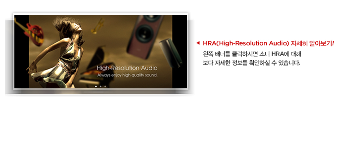 HRA(High-Resolution Audio) 자세히 알아보기! 왼쪽 배너를 클릭하시면 소니 HRA에 대해 보다 자세한 정보를 확인하실 수 있습니다. 